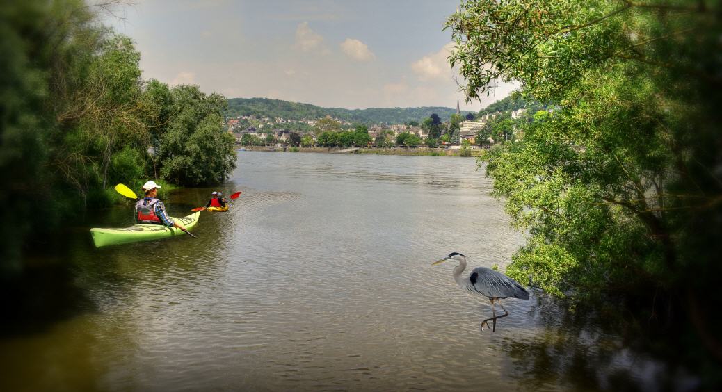 Die Ahr fließt bei Sinzig in den Rhein!