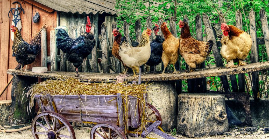 Hohe Erwartungshaltung vor Ostern!