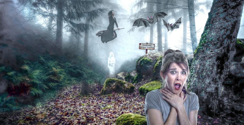 Wenn es Nacht wird auf dem Waldweg